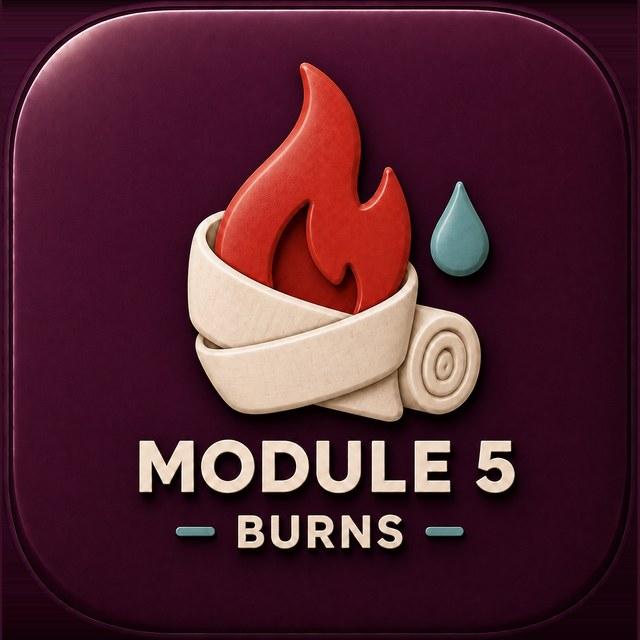 Module 5 — Burns