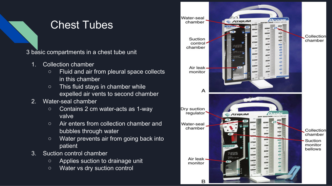 Her photograph of a real three-chamber drainage unit. Identify each chamber left to right and say what it does before reading the labels — that is the exercise she is pointing at when she says to know how they work.