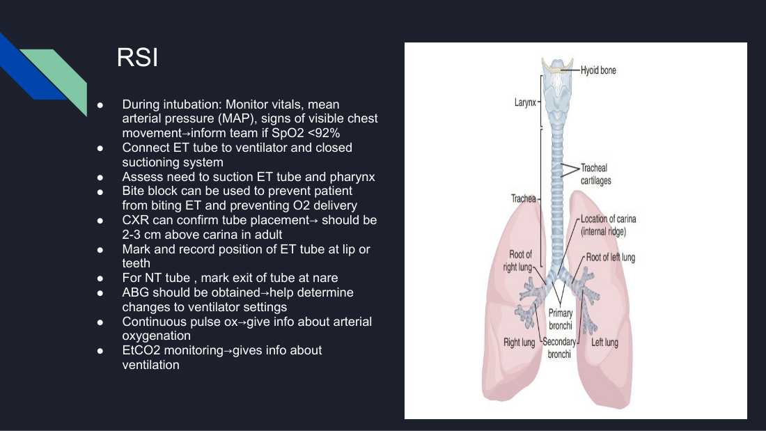 Her airway anatomy during rapid sequence intubation. Trace the path the tube takes past the vocal cords and note the carina below — the tube tip must sit 2 to 3 cm above it.