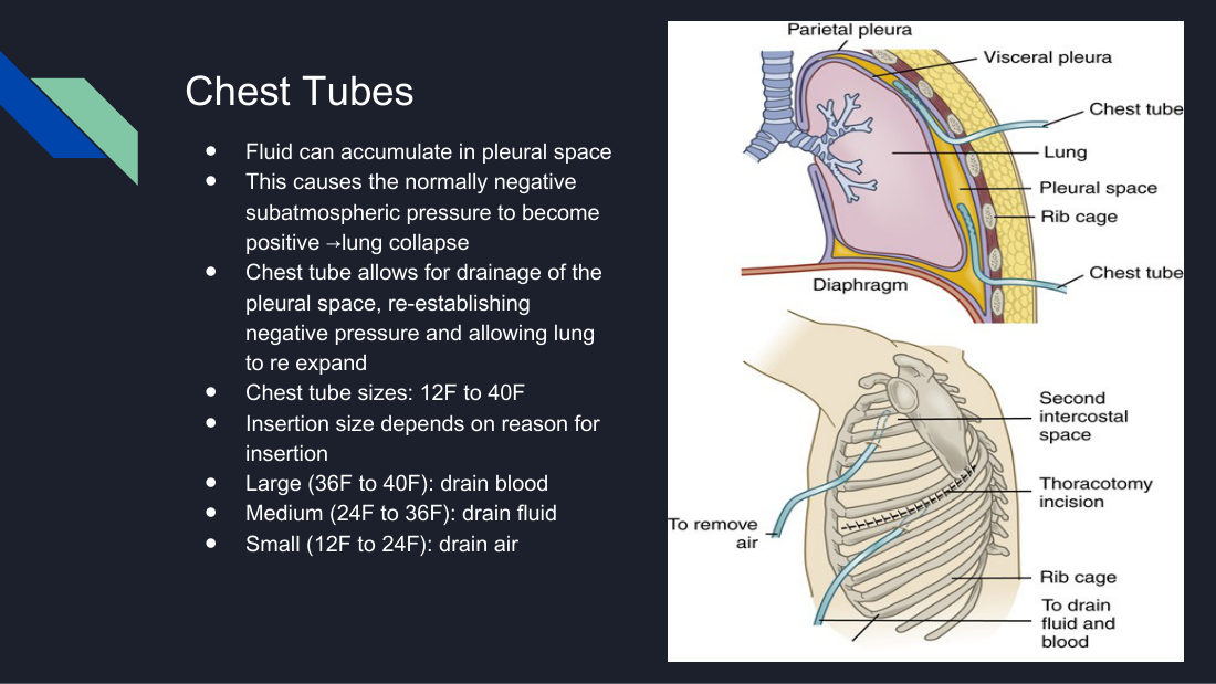 Her chest tube slide. Locate the pleural space, the insertion over the top of the rib, and the drainage tubing running to the collection unit. Everything in this unit is about protecting the negative pressure in that space.