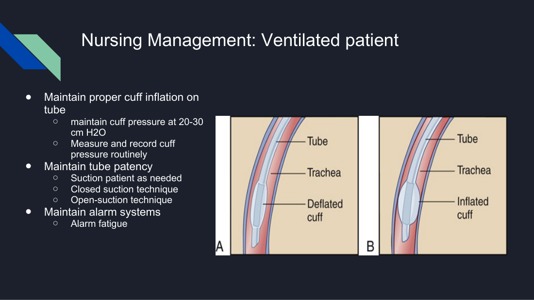 Her deflated versus inflated cuff, shown against the tracheal wall. Deflated, secretions pass freely down past the tube. Over-inflated, the cuff presses on the tracheal wall and shuts off capillary blood flow. The 20–30 cm H2O window is the space between those two failures.